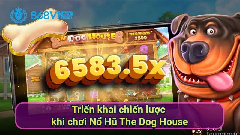 trien-khai-chien-luoc-khi-choi-no-hu-the-dog-house