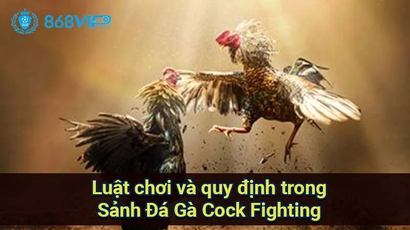 luat-choi-va-quy-dinh-trong-sanh-da-ga-cock-fighting